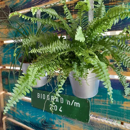 Marangun Lejlighed *